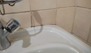 Schimmel in de badkamer